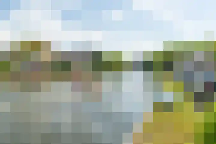 Jaagpad 149 Rijswijk thumbnail 50