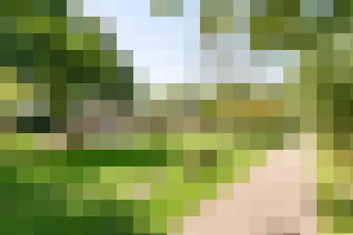 Jaagpad 149 Rijswijk thumbnail 51
