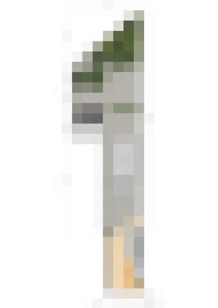 Jaagpad 149 Rijswijk thumbnail 52