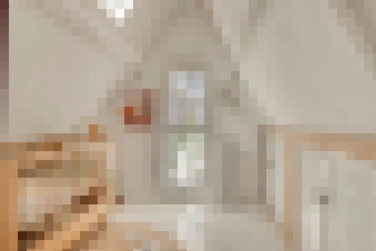 Jaagpad 17 Gouda thumbnail 22