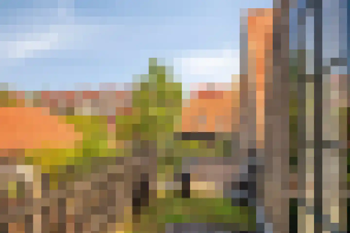 Jaagpad 17 Gouda thumbnail 24