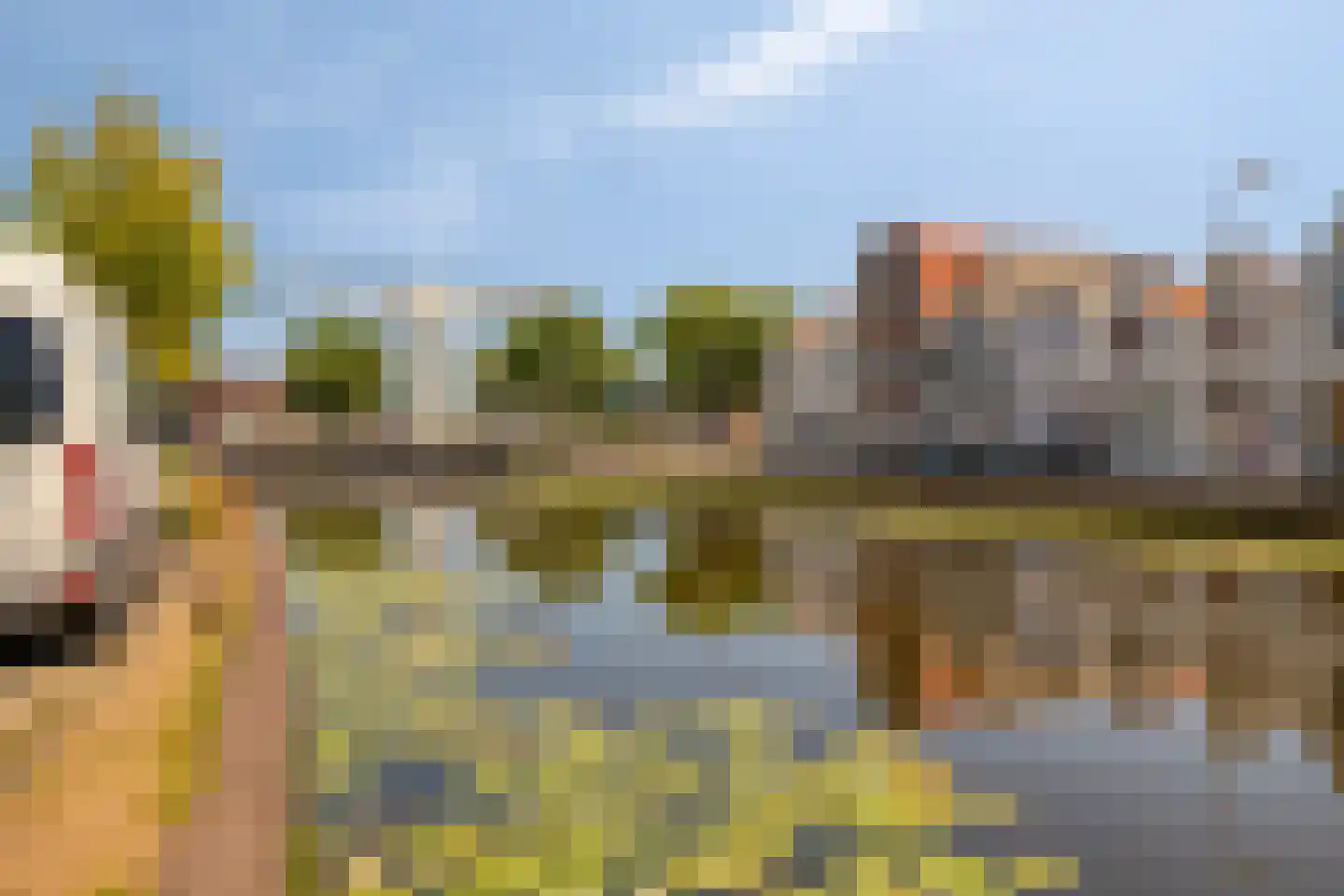 Jaagpad 17 Gouda thumbnail 27