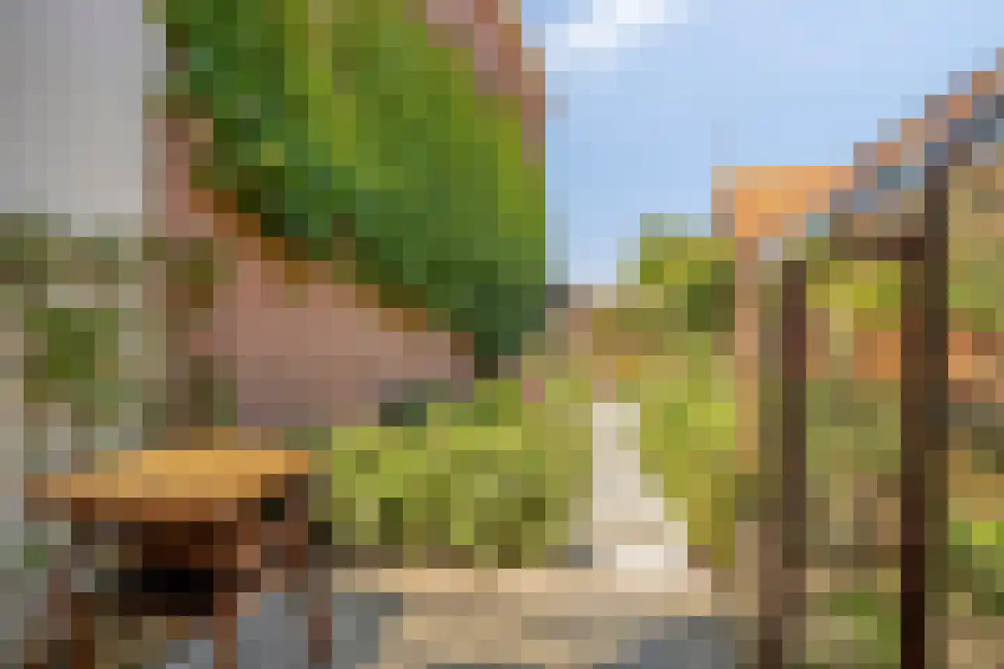 Jaagpad 17 Gouda thumbnail 5
