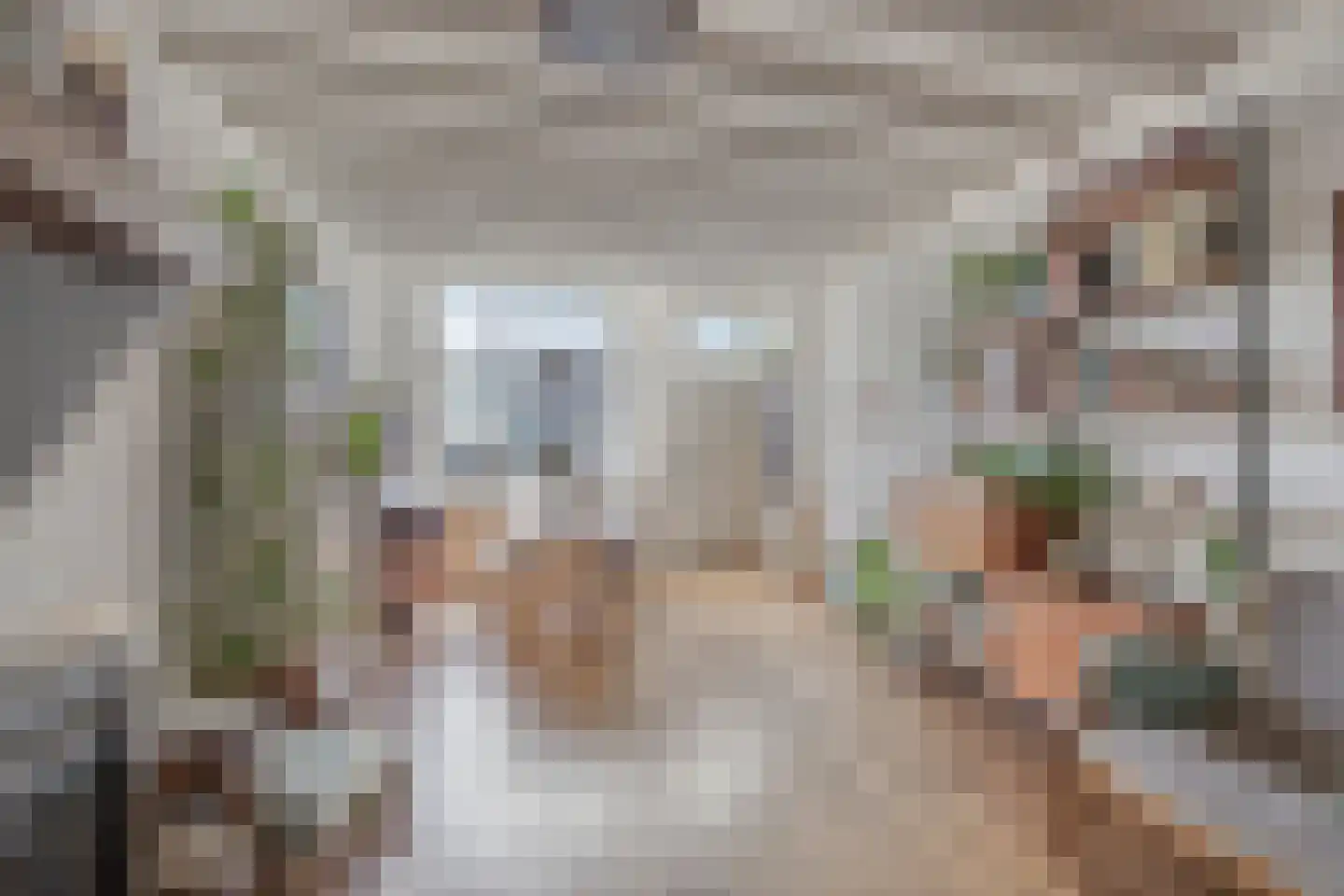Jaagpad 17 Gouda thumbnail 8