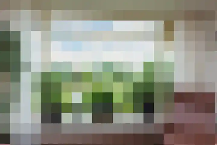 Jaagpad 18 a De Kwakel thumbnail 10