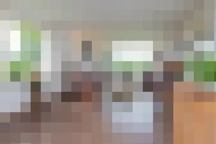 Jaagpad 18 a De Kwakel thumbnail 12