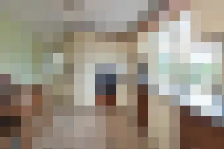 Jaagpad 18 a De Kwakel thumbnail 16