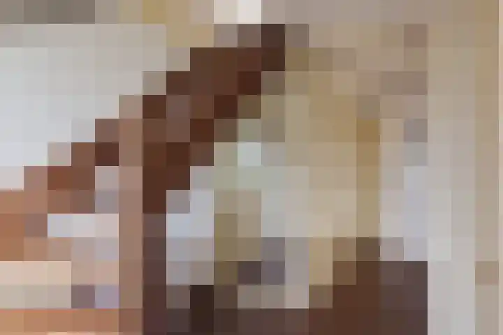 Jaagpad 18 a De Kwakel thumbnail 20