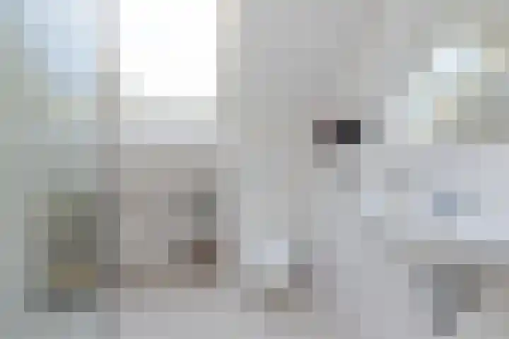 Jaagpad 18 a De Kwakel thumbnail 21