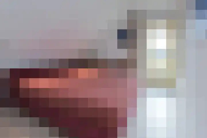 Jaagpad 18 a De Kwakel thumbnail 23