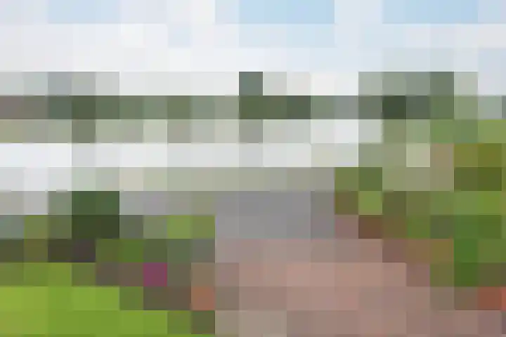 Jaagpad 18 a De Kwakel thumbnail 26