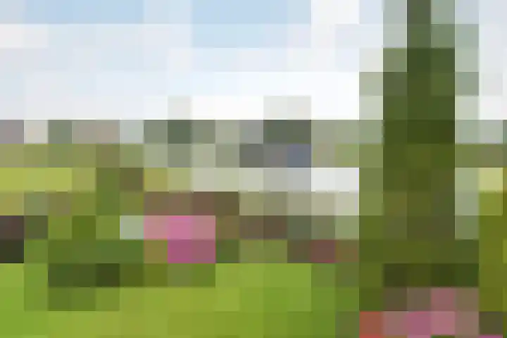 Jaagpad 18 a De Kwakel thumbnail 27