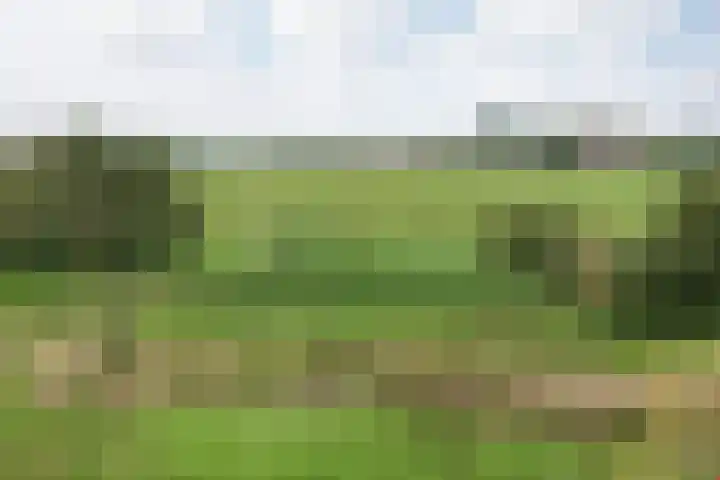 Jaagpad 18 a De Kwakel thumbnail 28