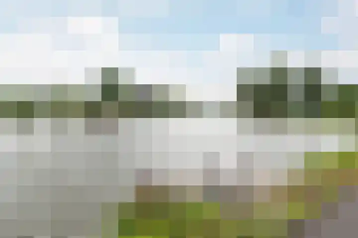 Jaagpad 18 a De Kwakel thumbnail 29