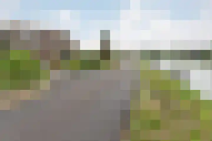 Jaagpad 18 a De Kwakel thumbnail 4
