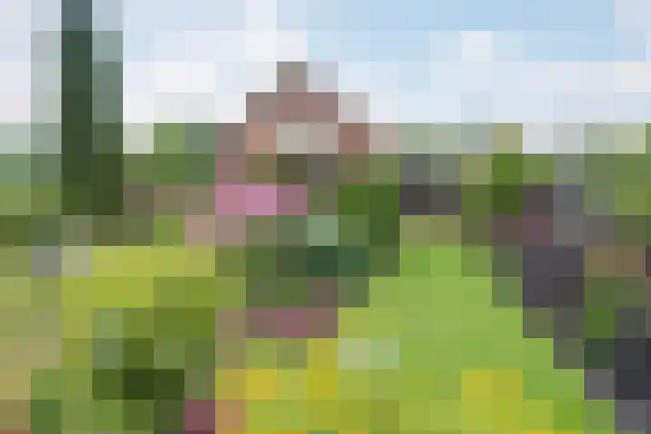 Jaagpad 18 a De Kwakel thumbnail 5