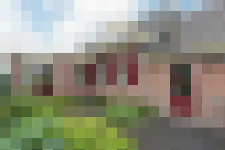 Jaagpad 18 a De Kwakel thumbnail 6