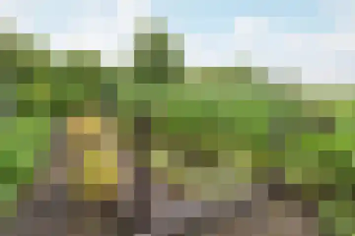 Jaagpad 18 a De Kwakel thumbnail 7