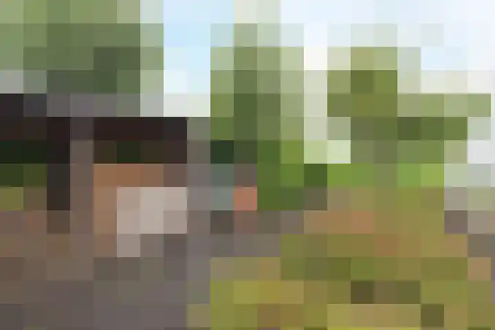 Jaagpad 18 a De Kwakel thumbnail 8