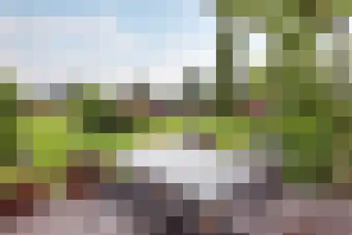 Jaagpad 18 a De Kwakel thumbnail 9