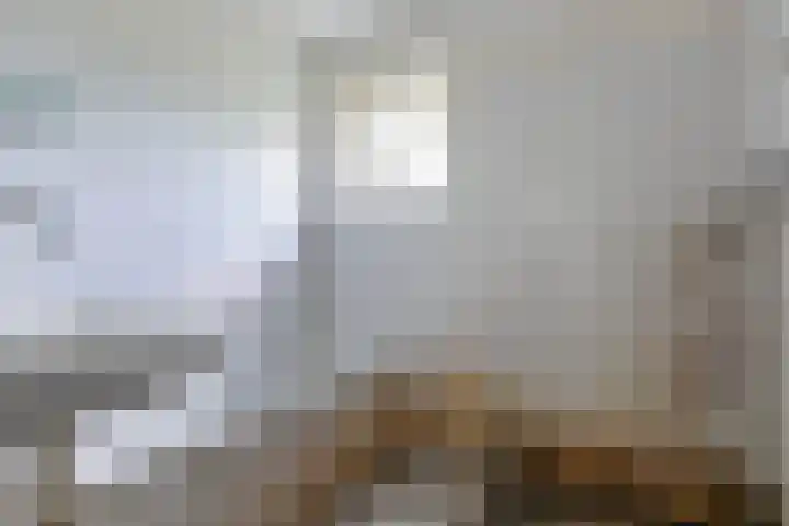 Jaagpad 18 b De Kwakel thumbnail 20