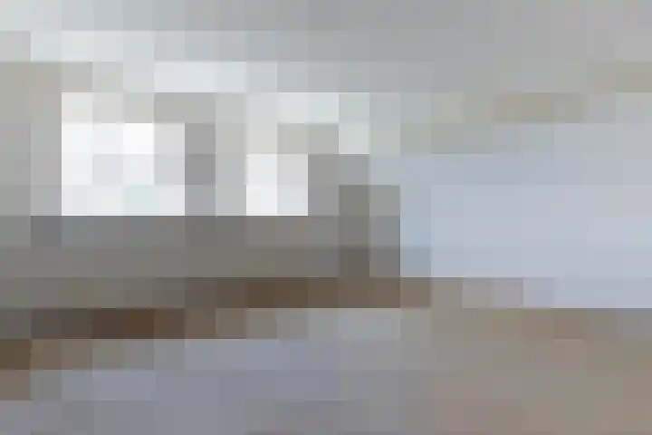 Jaagpad 18 b De Kwakel thumbnail 24