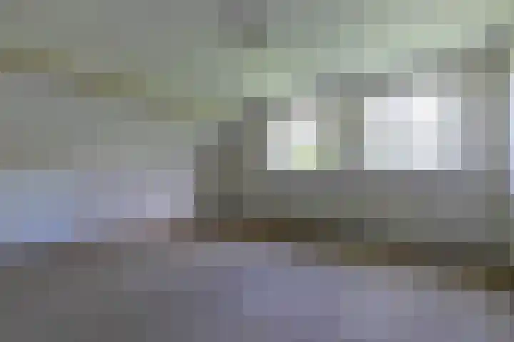 Jaagpad 18 b De Kwakel thumbnail 26