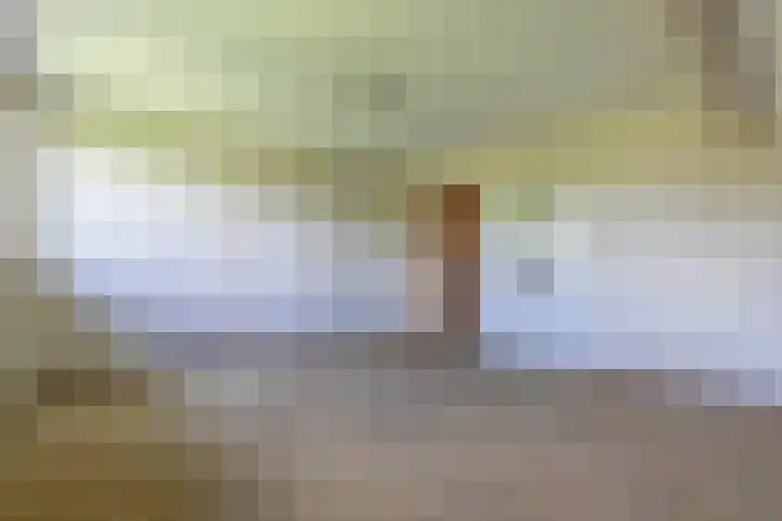 Jaagpad 18 b De Kwakel thumbnail 27