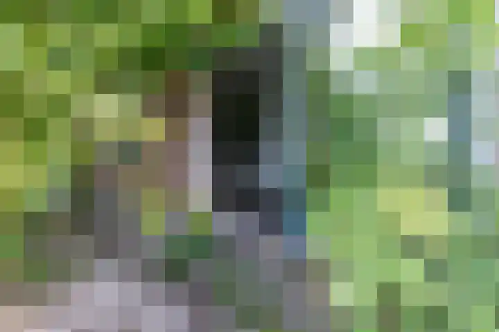 Jaagpad 18 b De Kwakel thumbnail 30