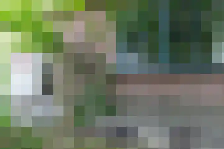 Jaagpad 18 b De Kwakel thumbnail 31