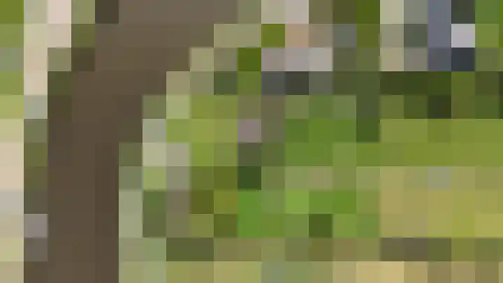 Jaagpad 18 b De Kwakel thumbnail 32