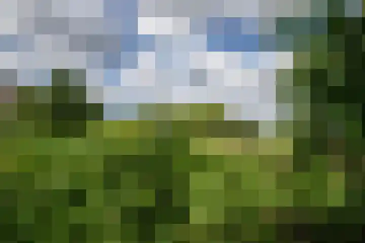 Jaagpad 18 b De Kwakel thumbnail 34
