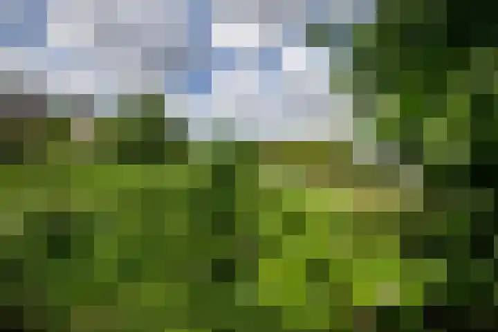 Jaagpad 18 b De Kwakel thumbnail 35