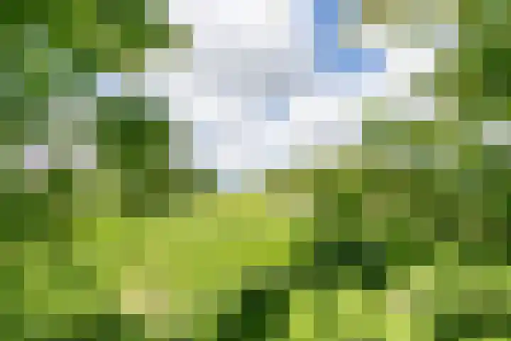 Jaagpad 18 b De Kwakel thumbnail 36