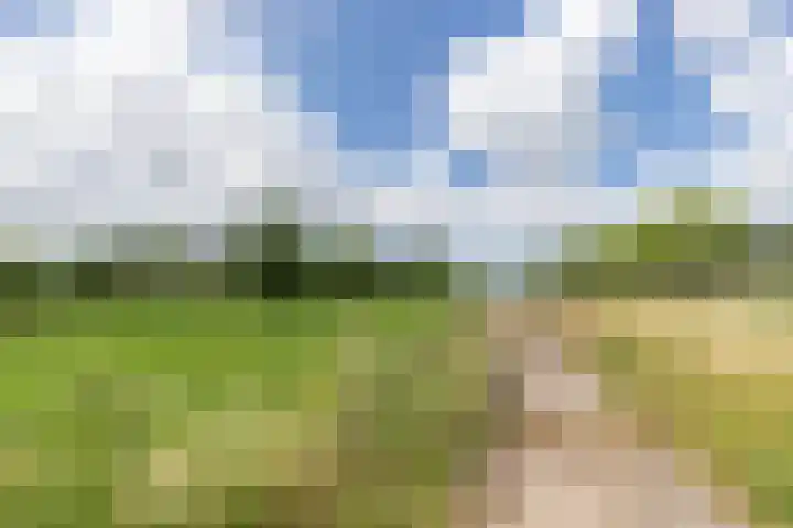 Jaagpad 18 b De Kwakel thumbnail 37