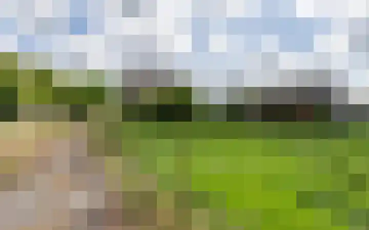 Jaagpad 18 b De Kwakel thumbnail 38