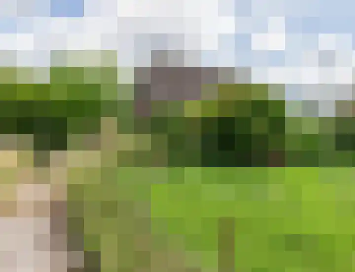Jaagpad 18 b De Kwakel thumbnail 39