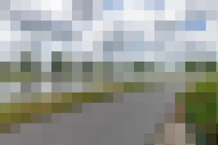 Jaagpad 18 b De Kwakel thumbnail 4