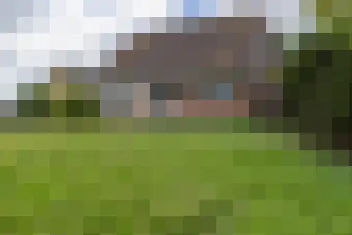Jaagpad 18 b De Kwakel thumbnail 40