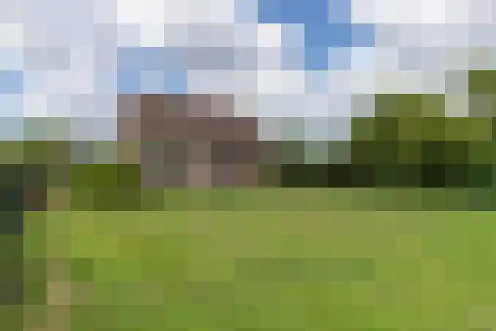 Jaagpad 18 b De Kwakel thumbnail 41
