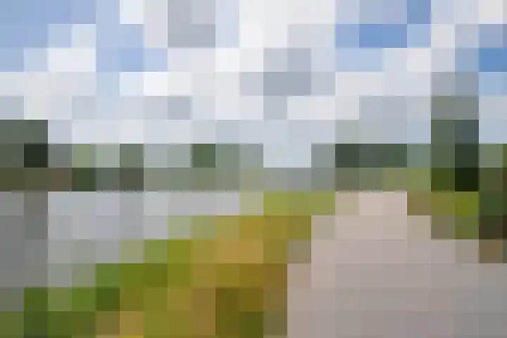 Jaagpad 18 b De Kwakel thumbnail 42