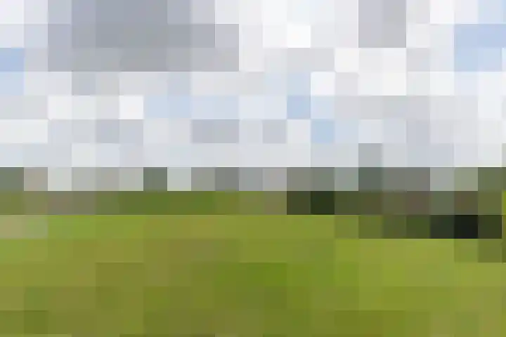 Jaagpad 18 b De Kwakel thumbnail 43