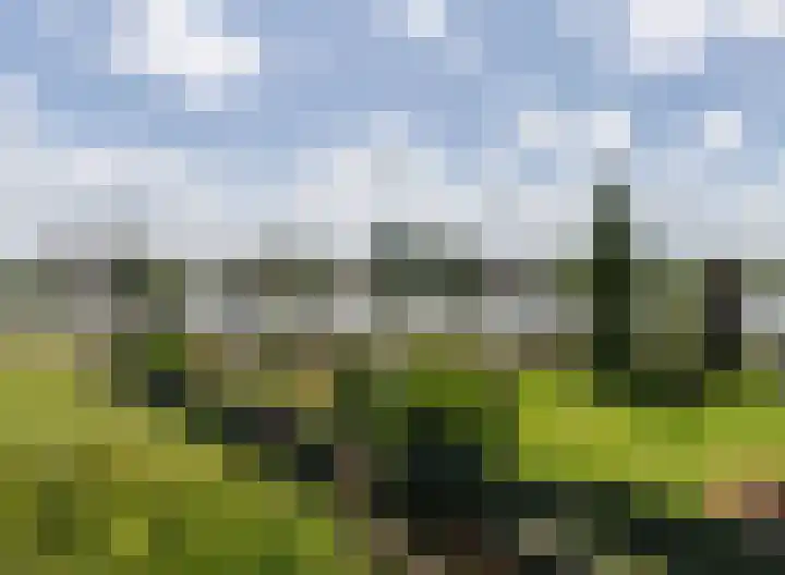Jaagpad 18 b De Kwakel thumbnail 44