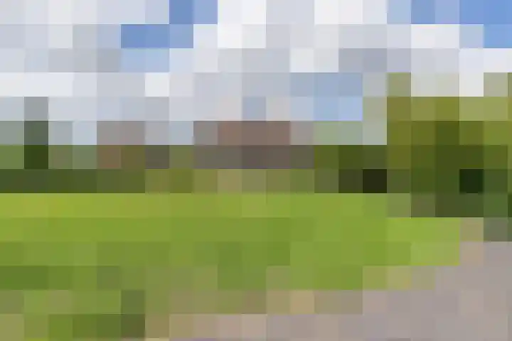 Jaagpad 18 b De Kwakel thumbnail 6