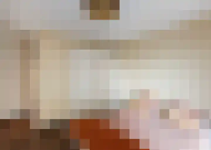 Jaagpad 193 Alkmaar thumbnail 14