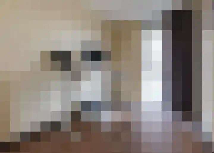 Jaagpad 193 Alkmaar thumbnail 15