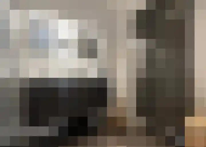 Jaagpad 193 Alkmaar thumbnail 17