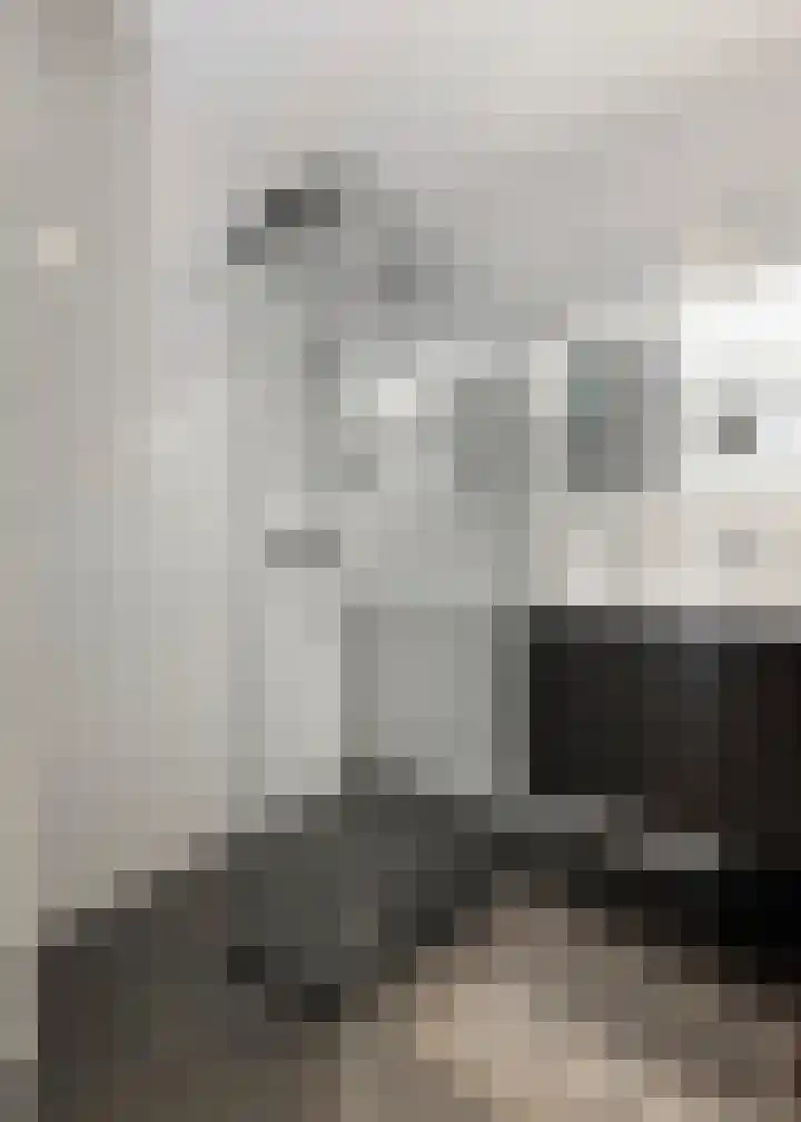 Jaagpad 193 Alkmaar thumbnail 18