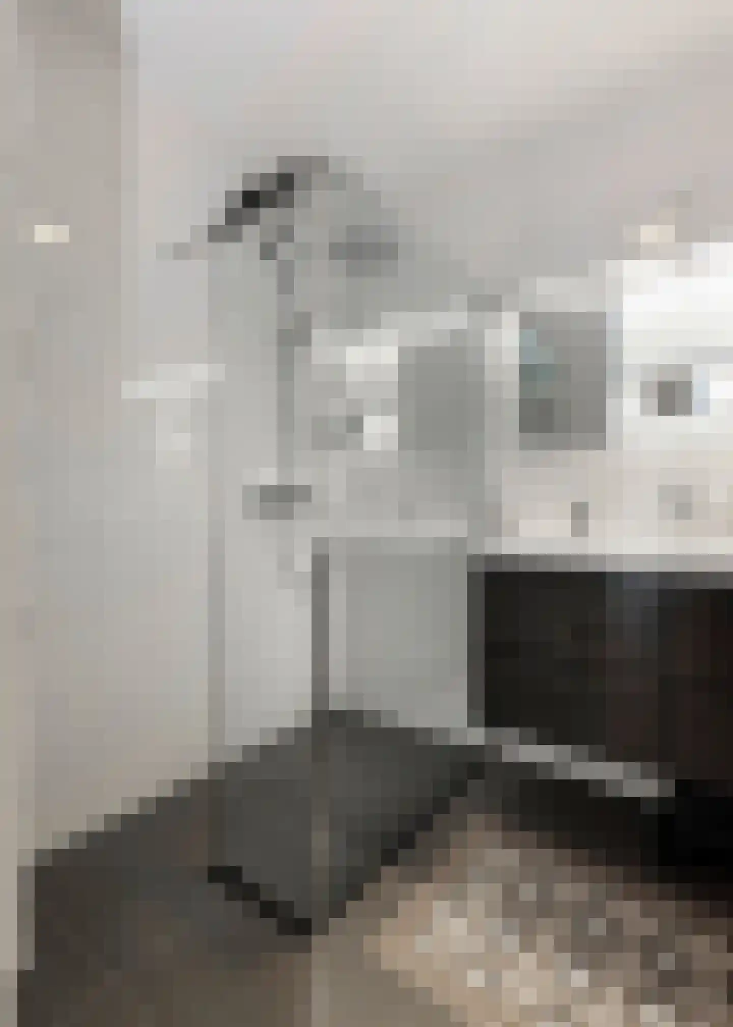 Jaagpad 193 Alkmaar thumbnail 18