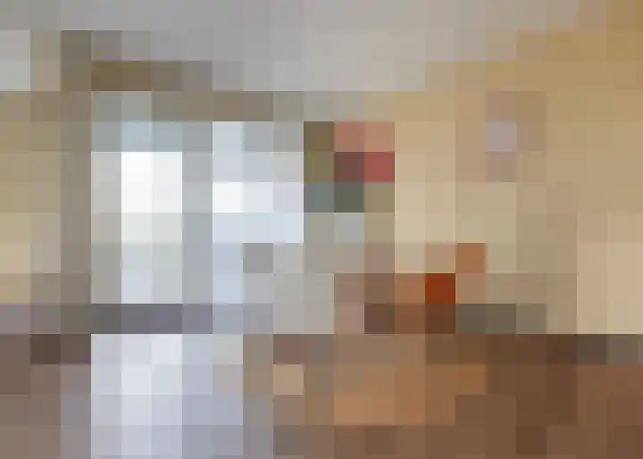 Jaagpad 193 Alkmaar thumbnail 20